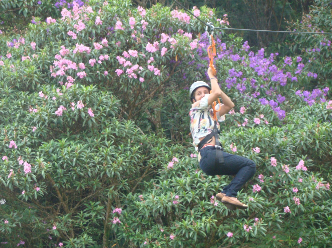 Tartarugas-Santo Amaro da Imperatriz必去景点