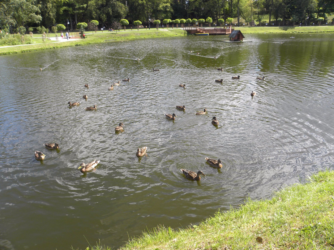 Small lake - sports park & recreation景点图片