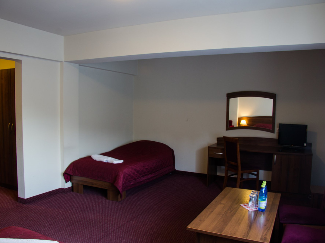 Hotel Pod Borem主图