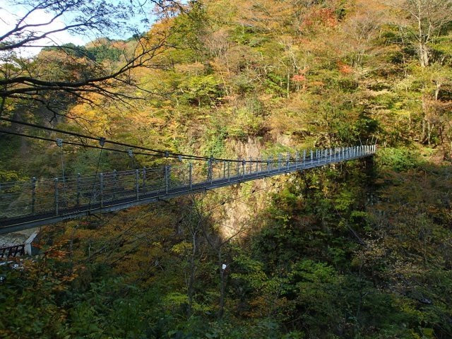 Daisen Fall Suspension Bridge景点图片