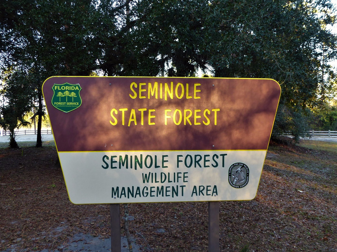 Seminole State Forest景点图片