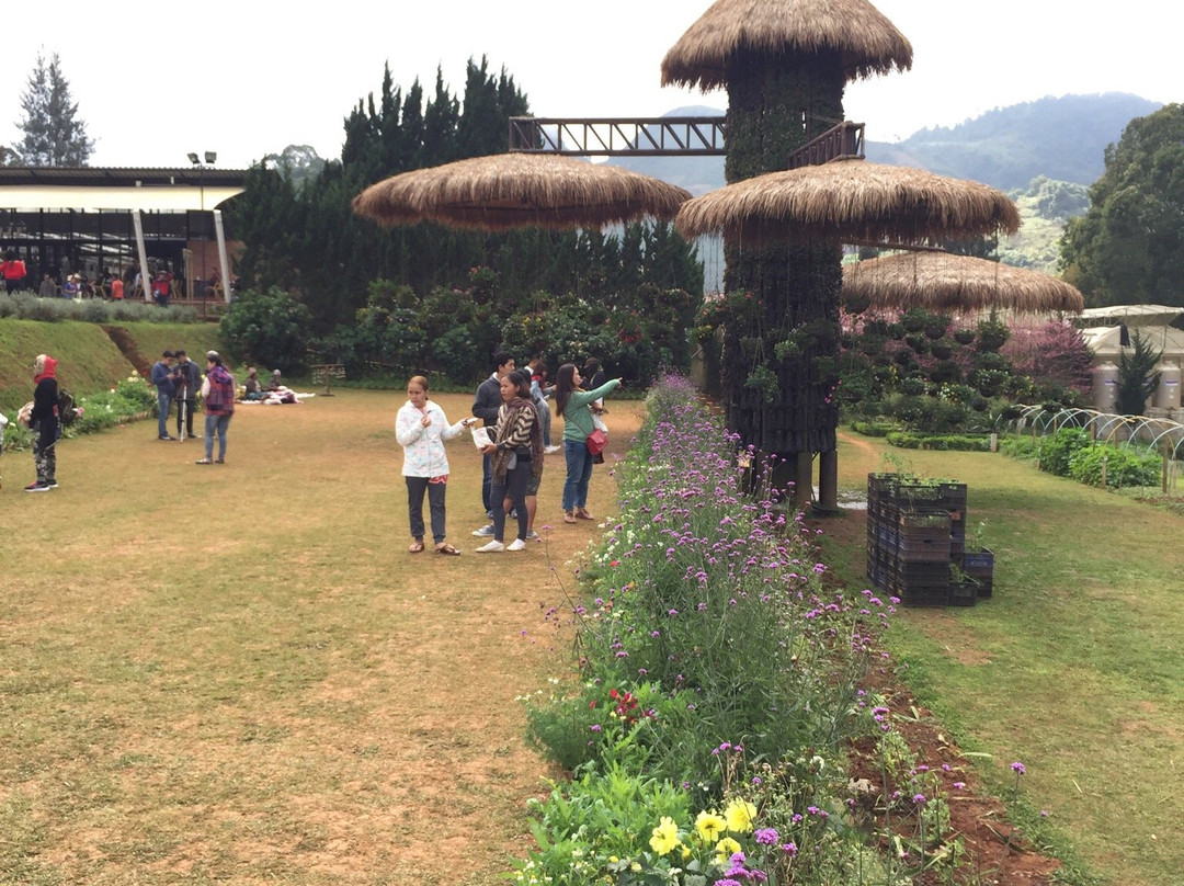 The Royal Agricultural Station Angkhang-芳县必去景点