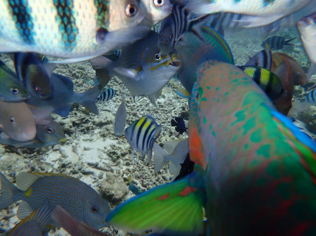 Sawinggrai Village-索龙必去景点