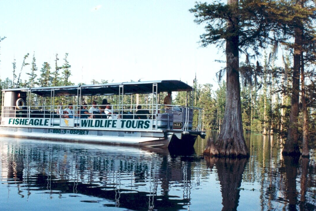 Fish Eagle Wildlife Tours景点图片