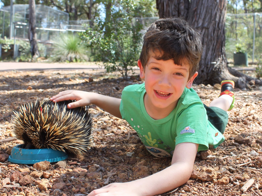 Kanyana Wildlife Rehabilitation Centre景点图片
