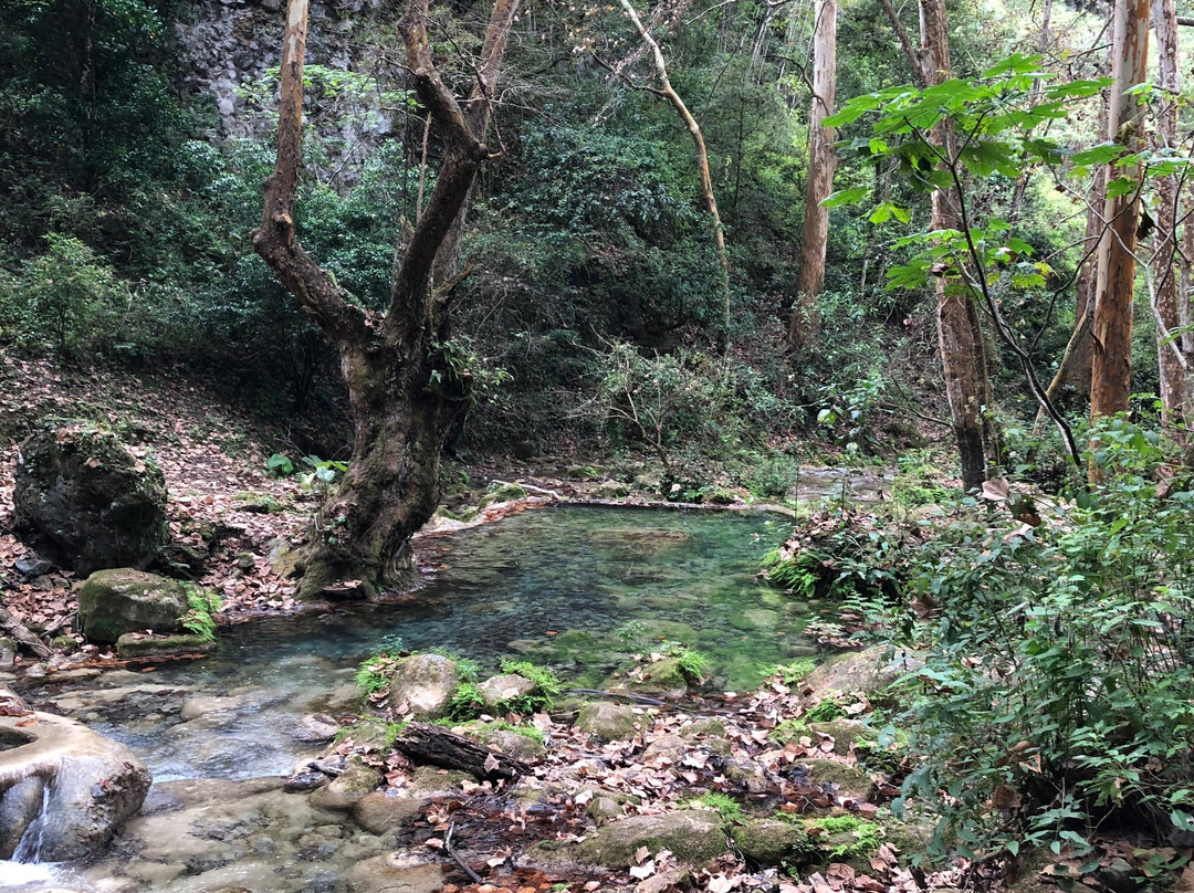 Cascada El Chuveje-Pinal de Amoles必去景点
