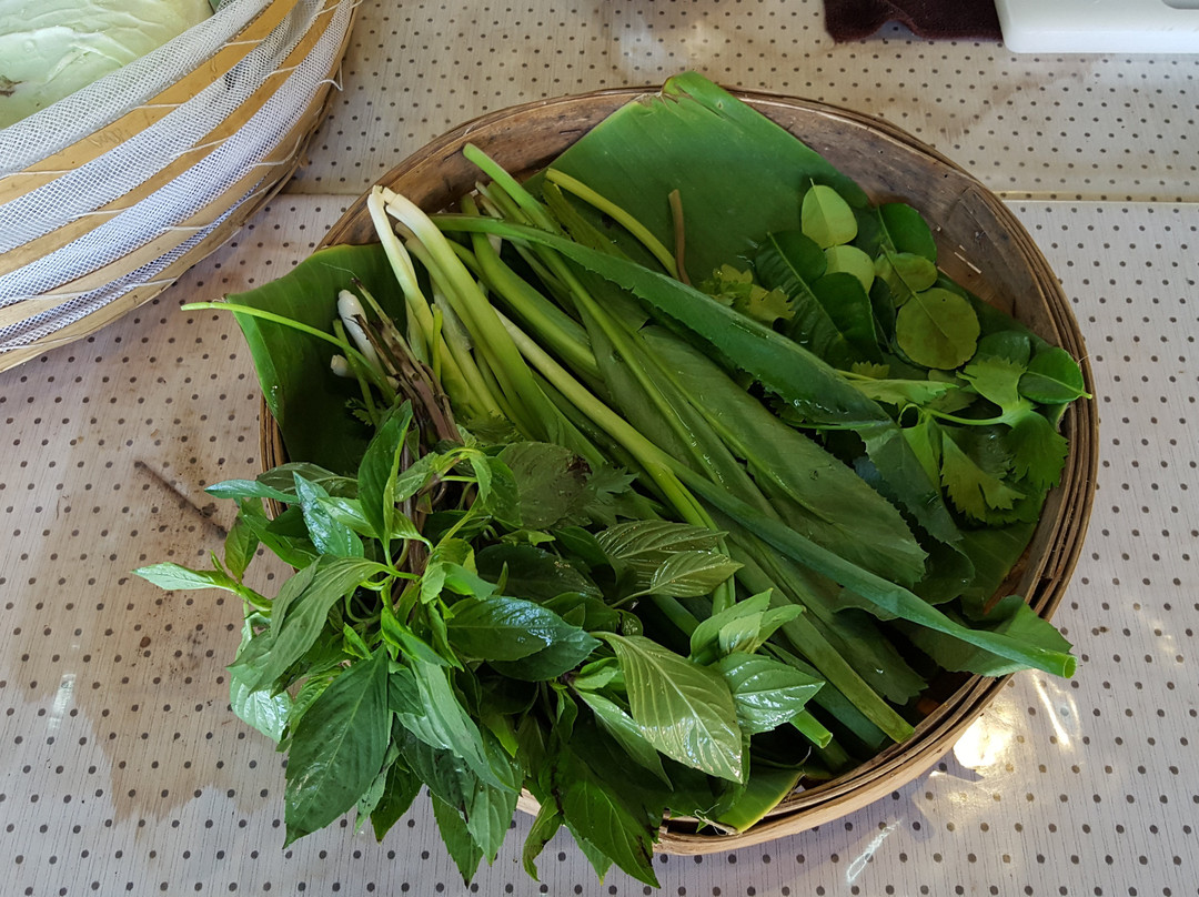Thaimuang Vegetarian Cooking Class-清迈必去景点