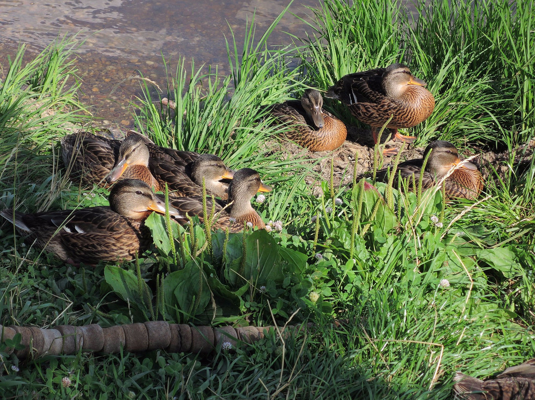 Lukomorye Recreation Park-Magnitogorsk必去景点