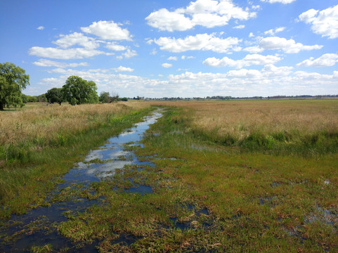 Mother of Ducks Lagoon Nature Reserve-Guyra必去景点