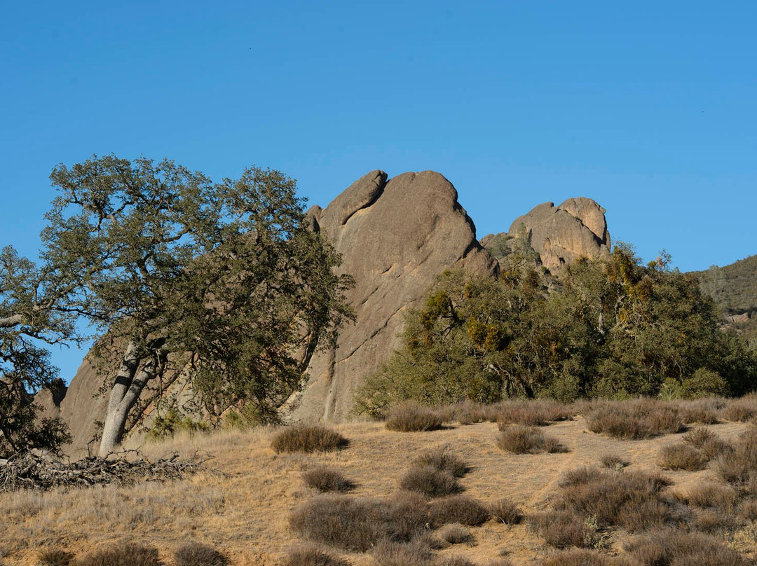 蒙特雷半岛旅游攻略图片