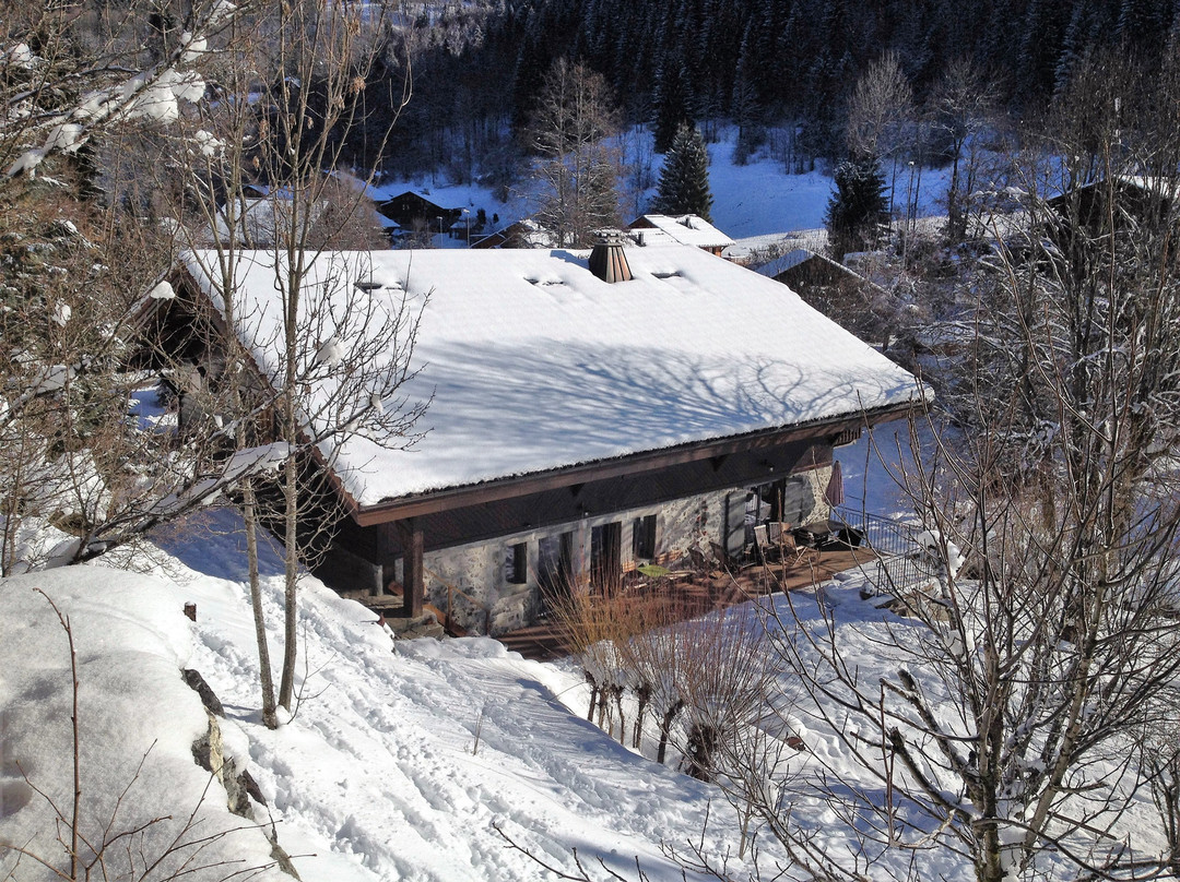Chalet Ascensus