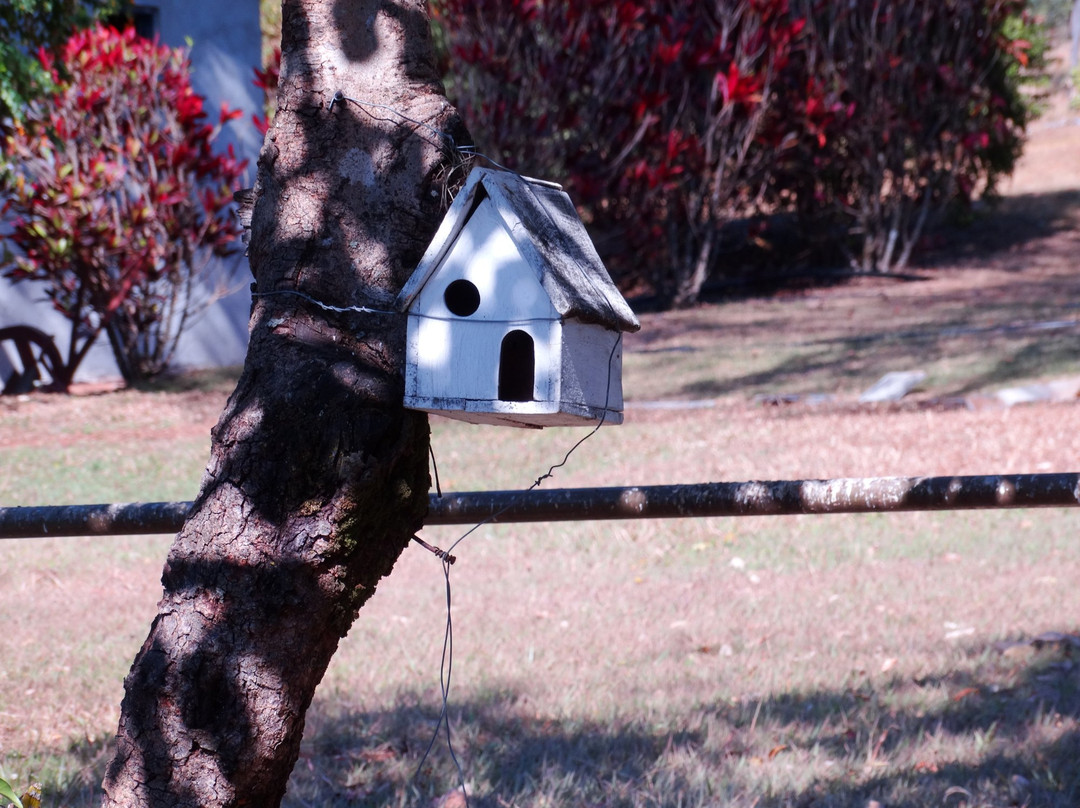 Pousada Granja Gloria主图
