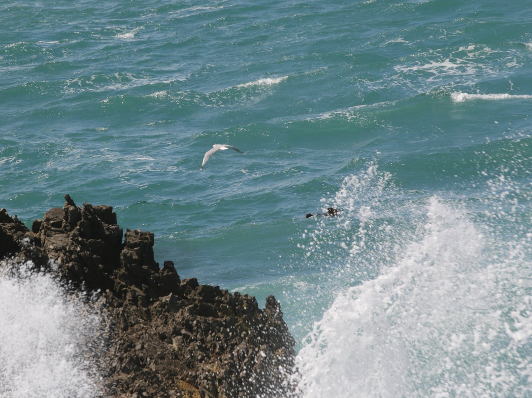 Kwaaiwater-赫曼努斯必去景点