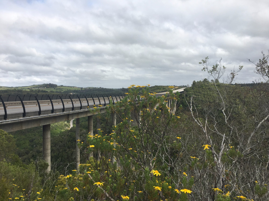Van Stadens Wildflower Reserve-伊丽莎白港必去景点