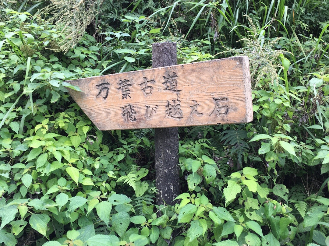 Matsuchi Tobikoe Ishi-桥本市必去景点