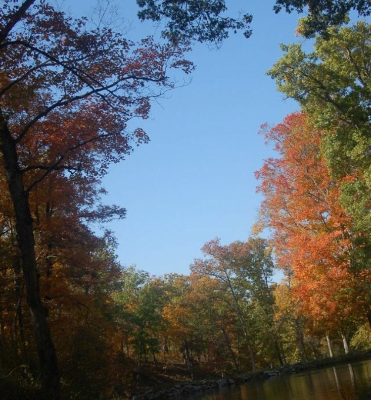 Chimney Rock Hollow主图