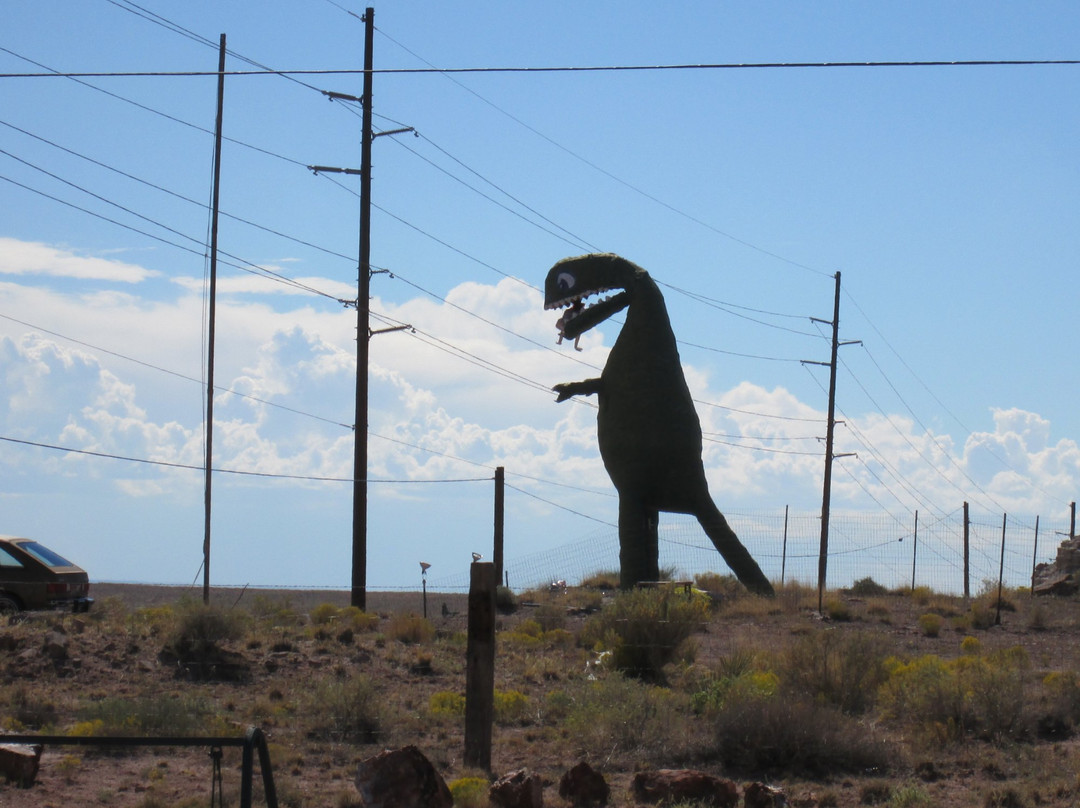 Stewart's Petrified Wood-霍尔布鲁克必去景点