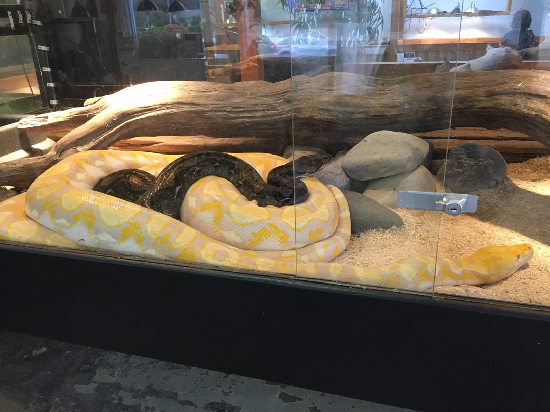 The Reptile Zoo-Monroe必去景点