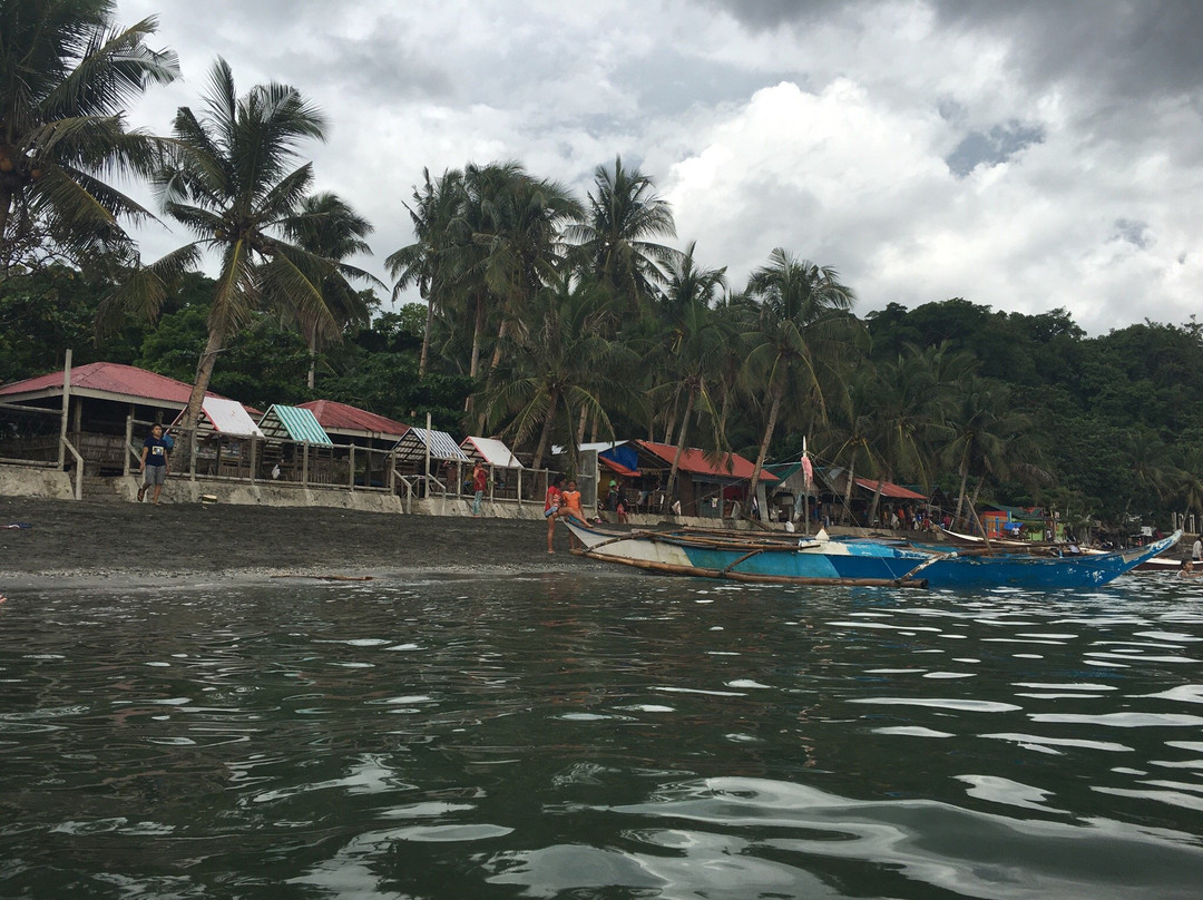 Malajog (Looc) Beach景点图片