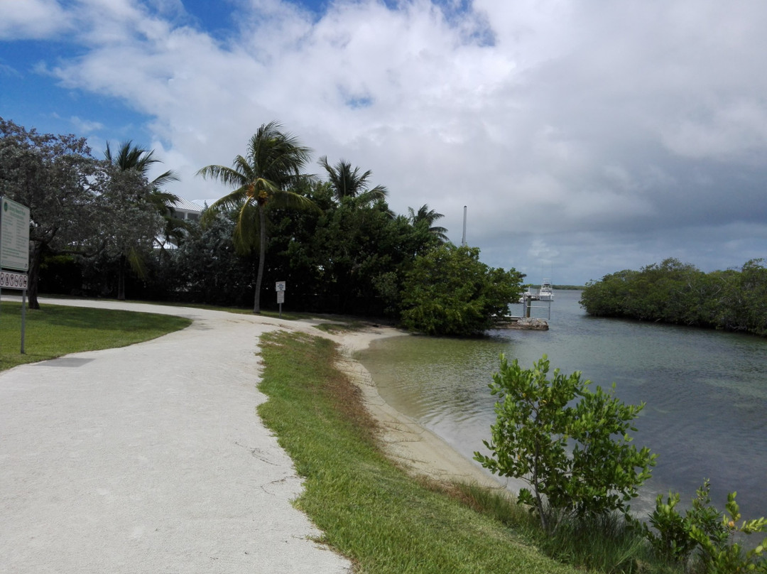 Library Beach Park景点图片