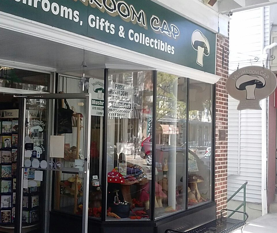 The Mushroom Cap-肯尼特斯奎尔必去景点