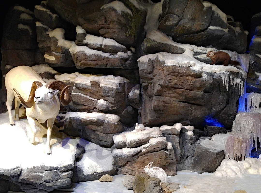 Northwest Arctic Heritage Center-Kotzebue必去景点