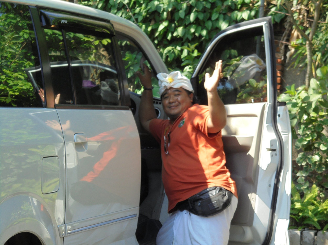 Elvys Bali Tours-登巴萨必去景点