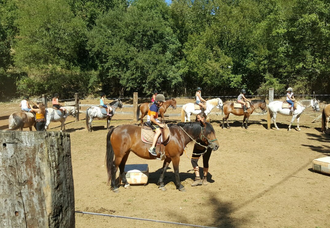 Ferme Equestre chez Valdine景点图片