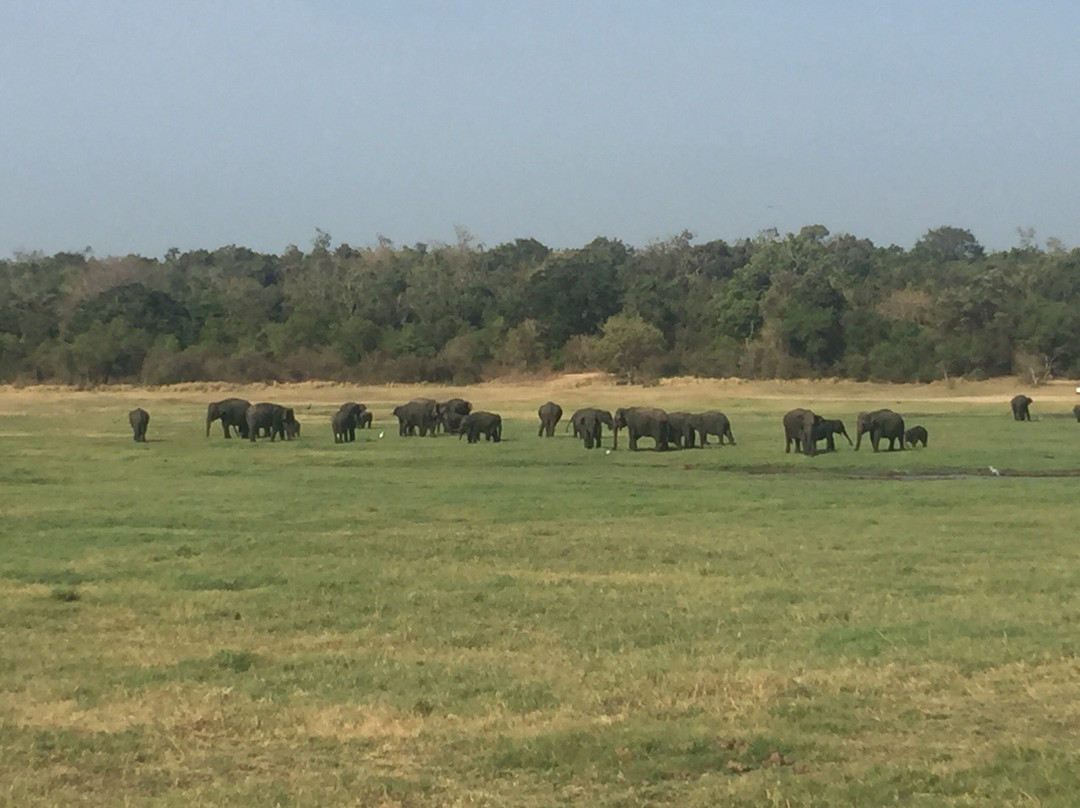 Sarath Safari Sigiriya-锡吉里亚必去景点