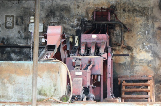 Masama Cultural Tourism Programme-乞力马扎罗山国家公园必去景点