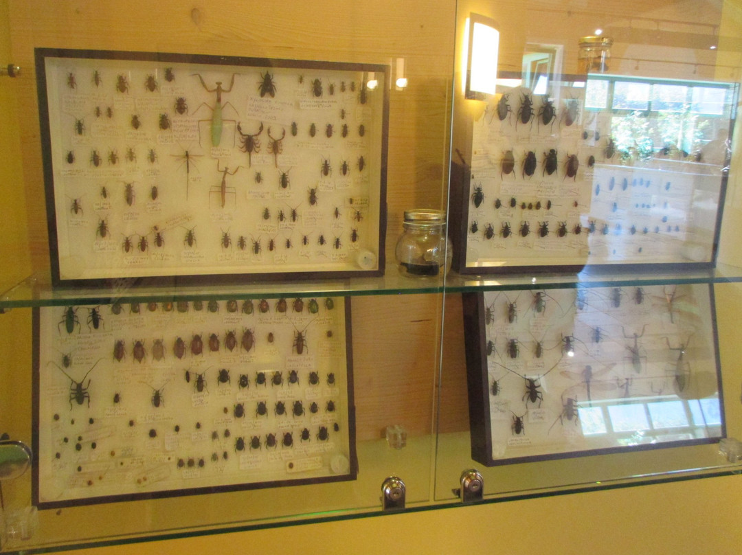 Centro Permanente Della Flora e Della Fauna Alpina景点图片