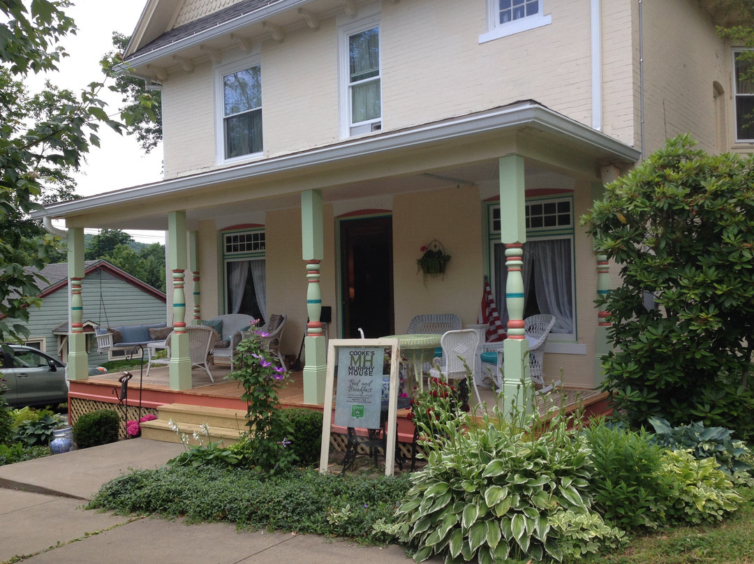 Murphy House 1895主图