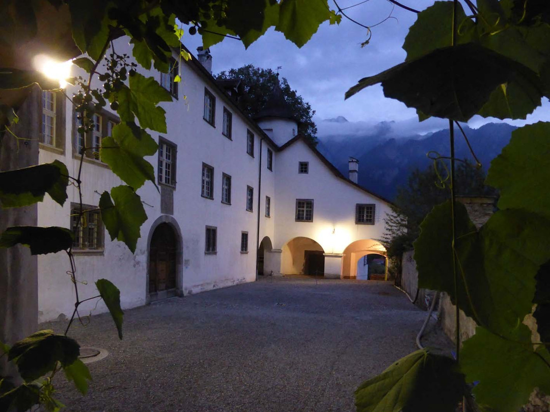 Castle Haldenstein景点图片