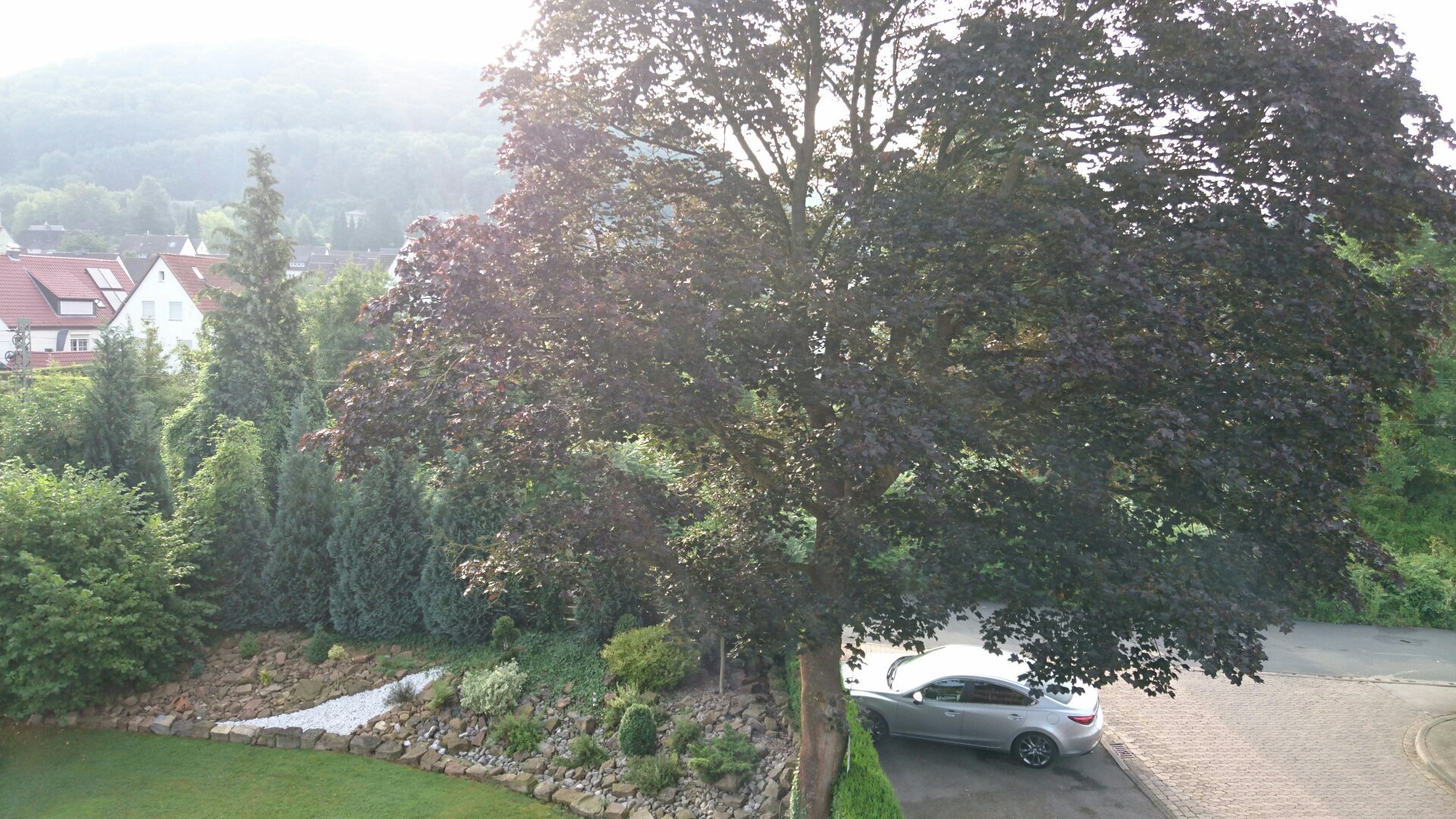 Haus Waldblick-官方