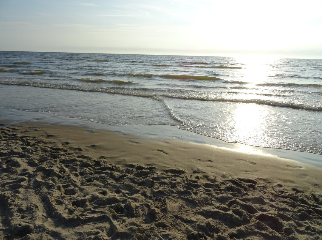 Strand van Wijk aan Zee景点图片