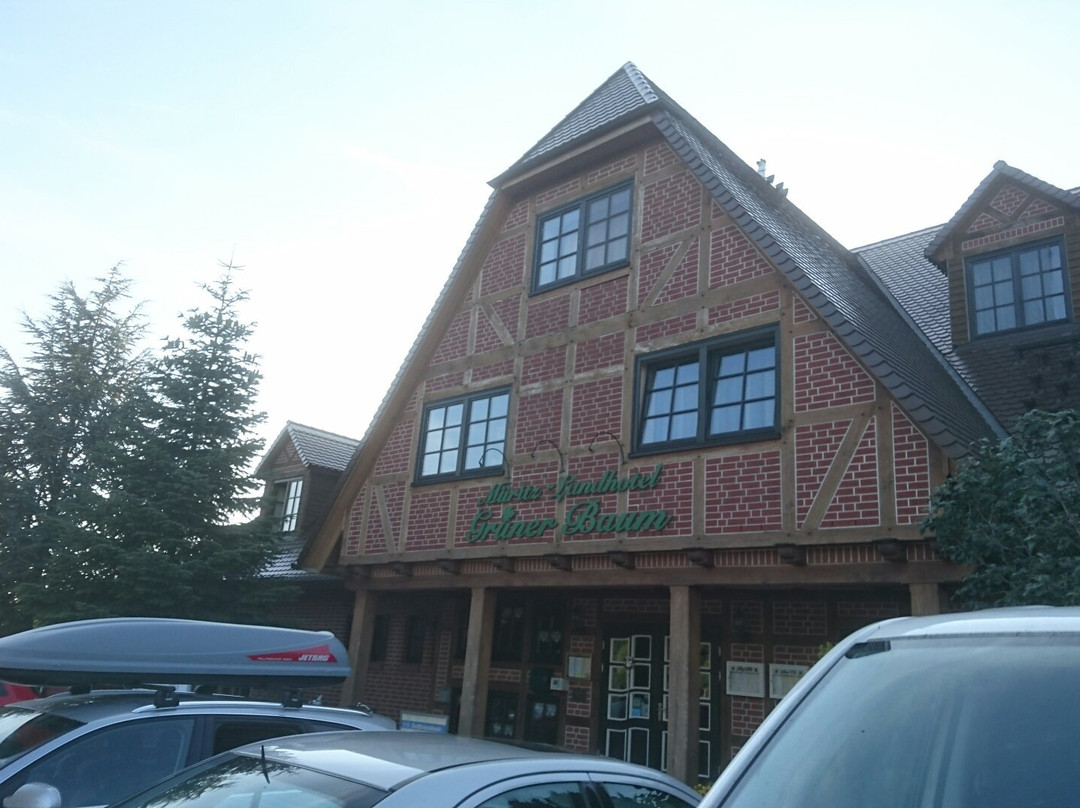 Mueritz Landhotel Gruener Baum主图