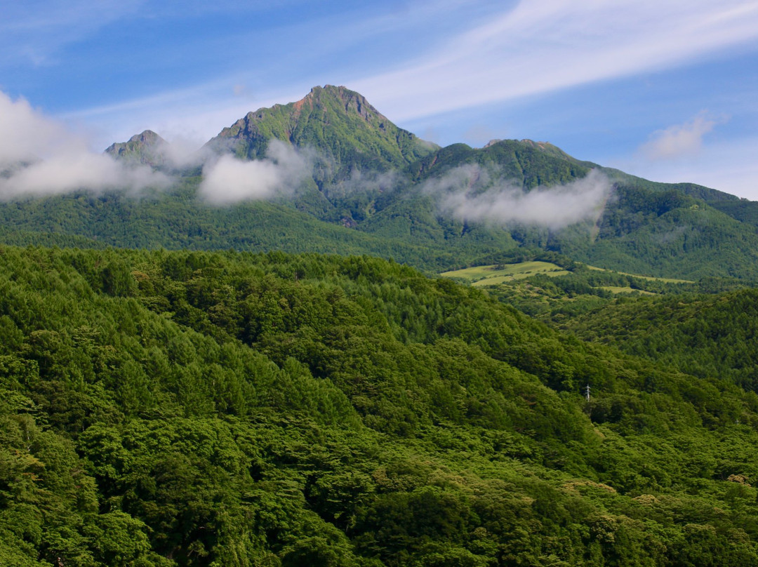 Yatsugatake Kogen Bridge景点图片