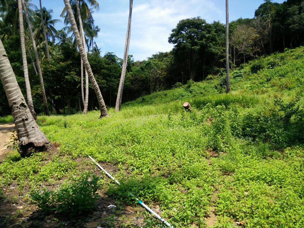Laem Nok Ok-阁耀亚伊岛必去景点
