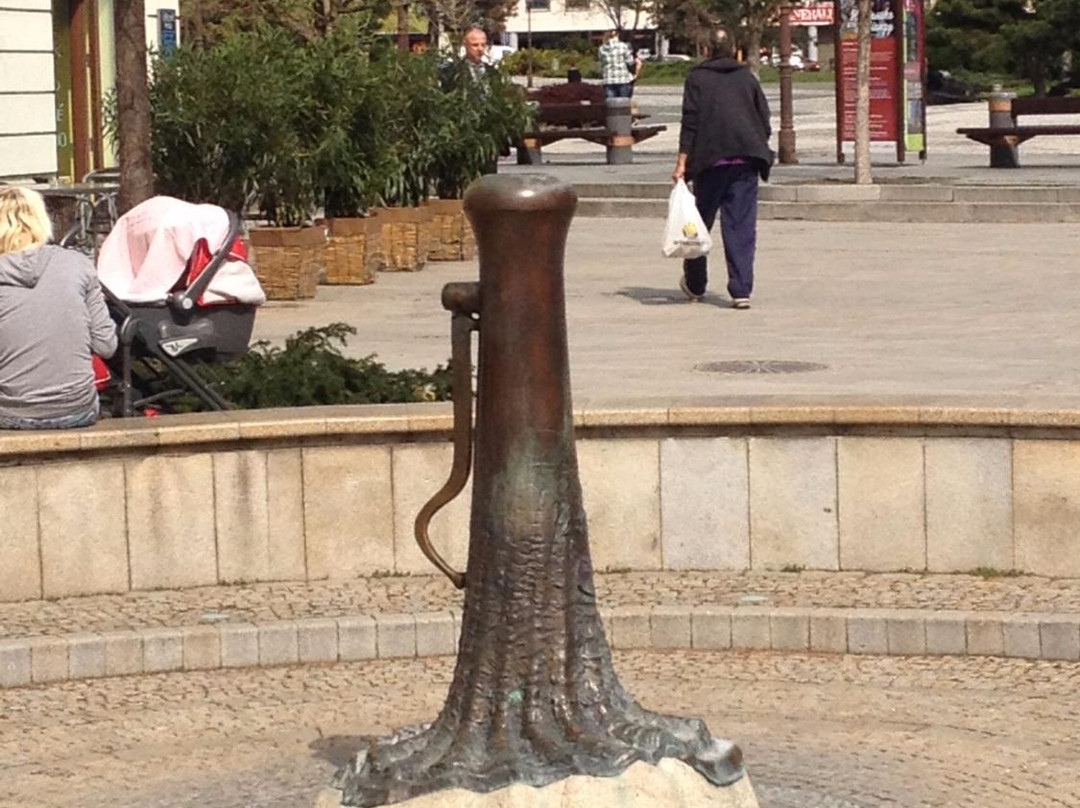 Bronze well pump-Nitra必去景点