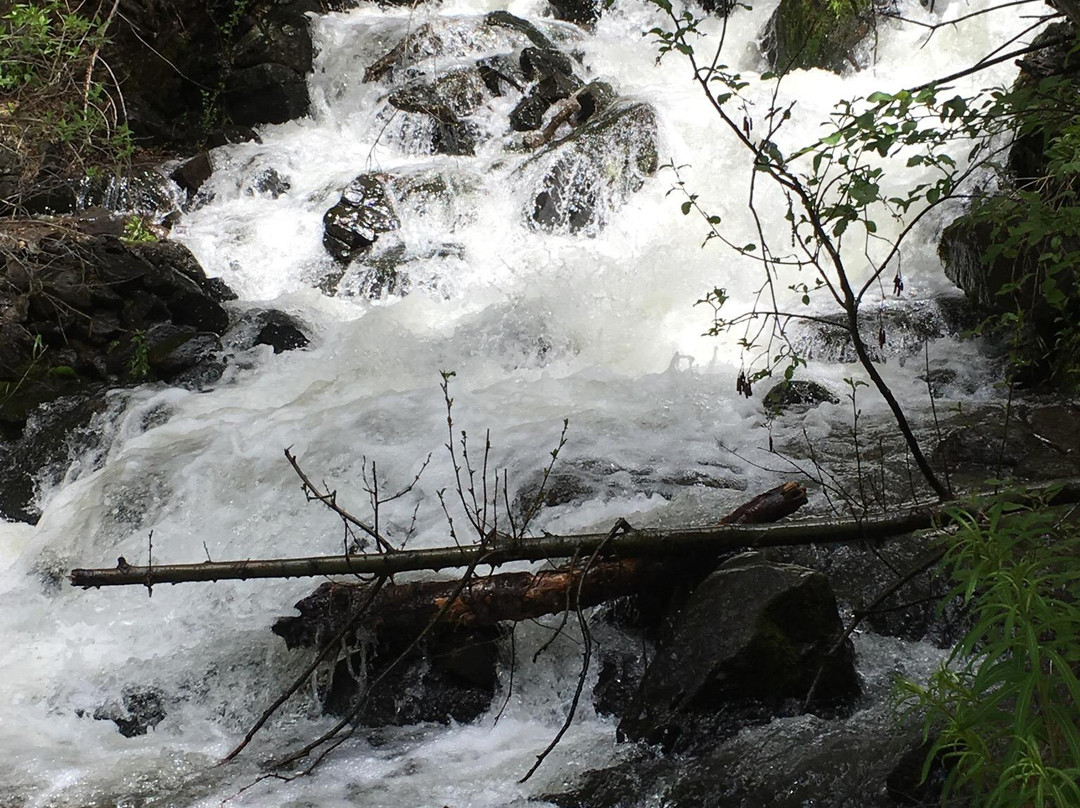 Elwood Pass-帕戈萨斯普林斯必去景点