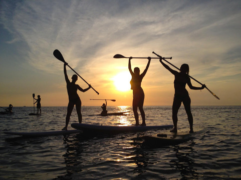 Posidonia Activa Ibiza-伊维萨必去景点