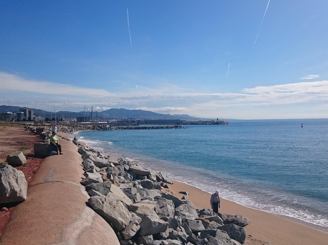 Platja de la Mora景点图片