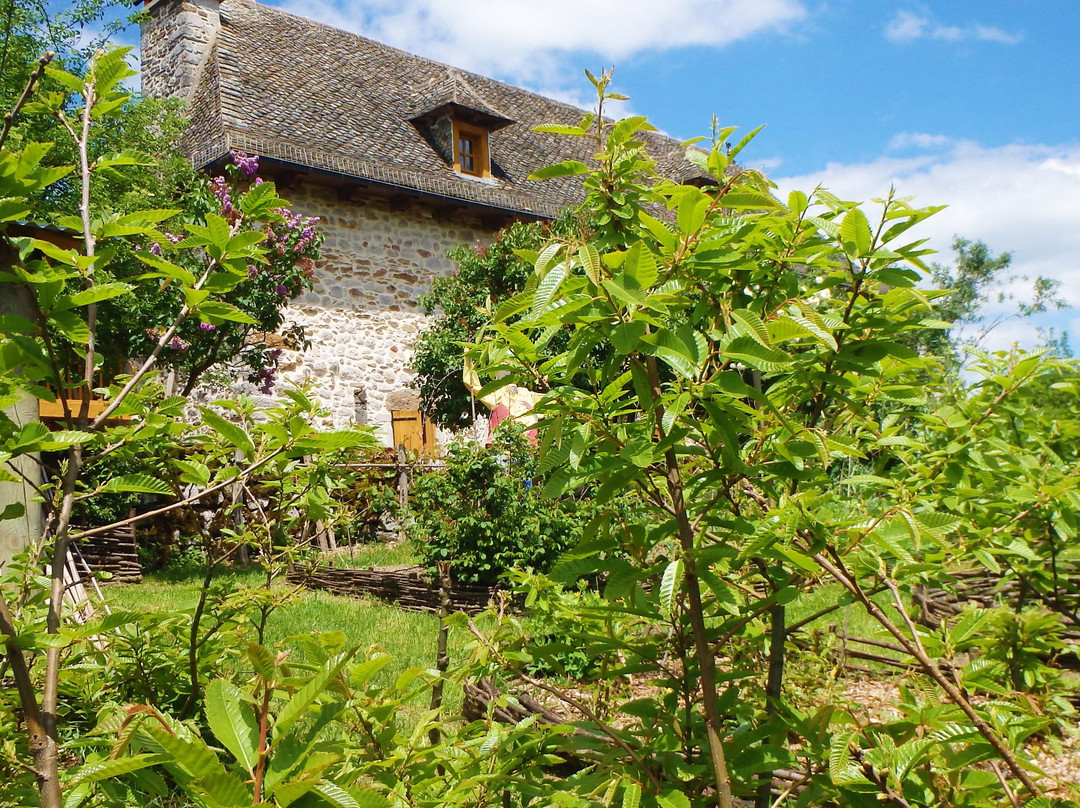 Maison de la Châtaigne-Mourjou必去景点