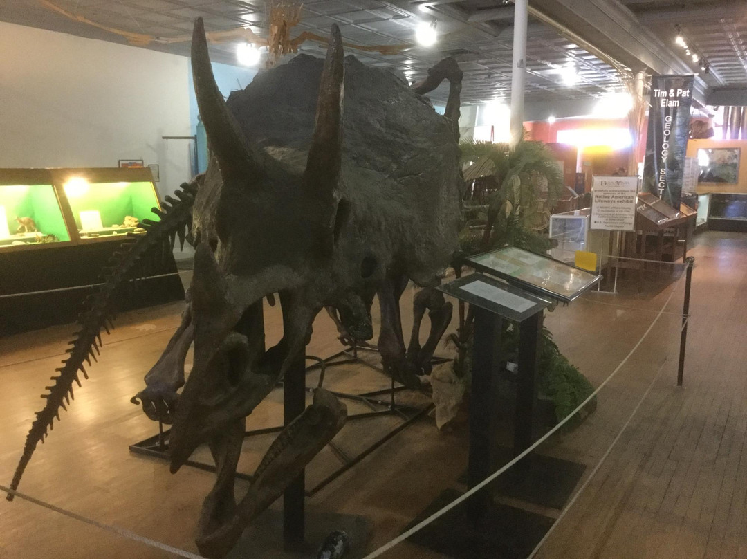 Buena Vista Museum of Natural History-贝克斯菲尔德必去景点