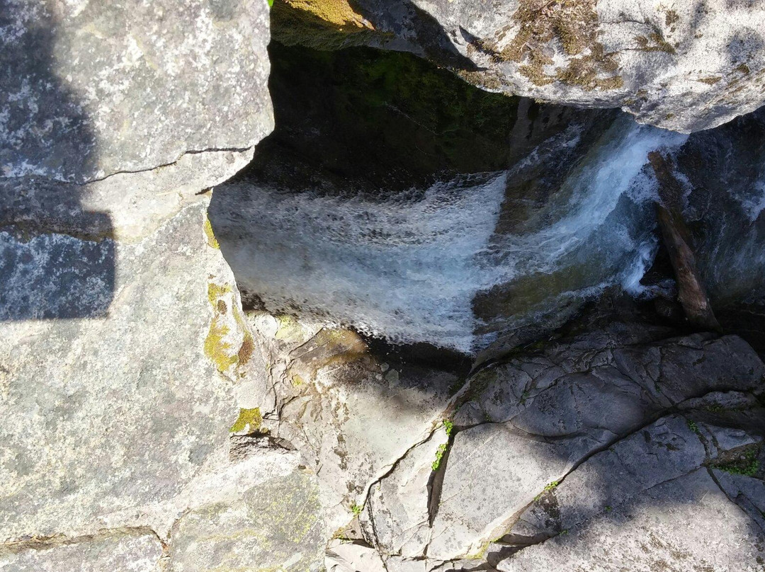 Nisqually River景点图片