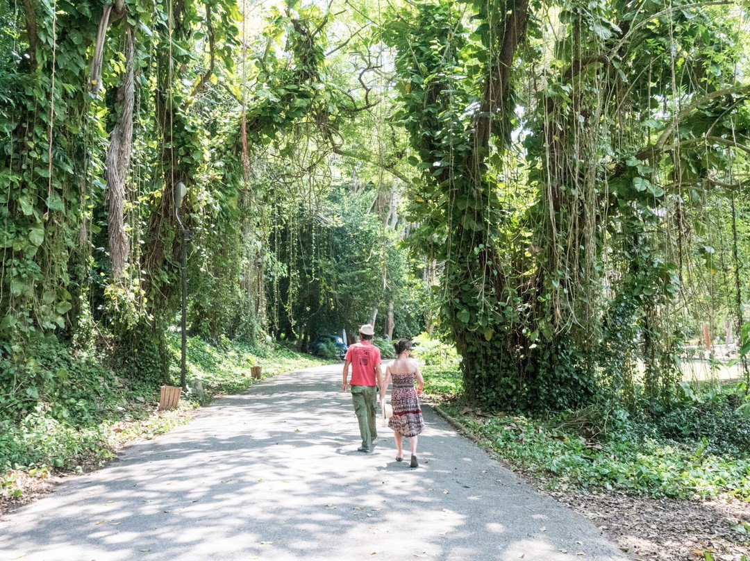 Jardines de Hershey-Jibacoa必去景点