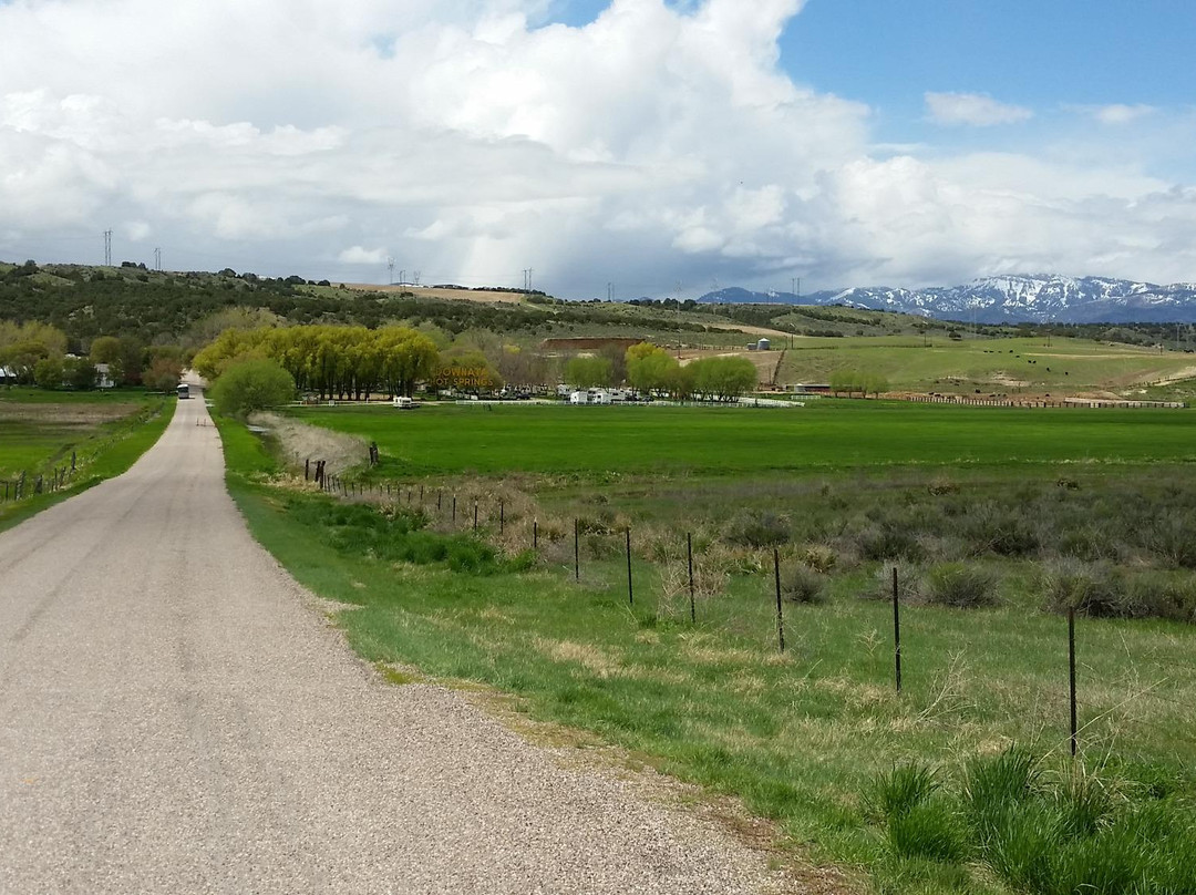 Downata Hot Springs-Downey必去景点