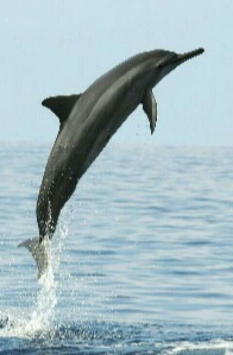 Kitolie Home and Lodge主图