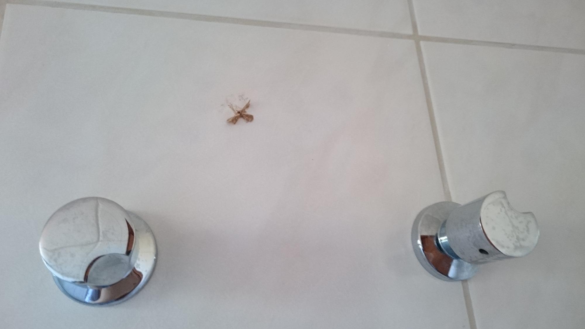 Pousada Mandala-浴室