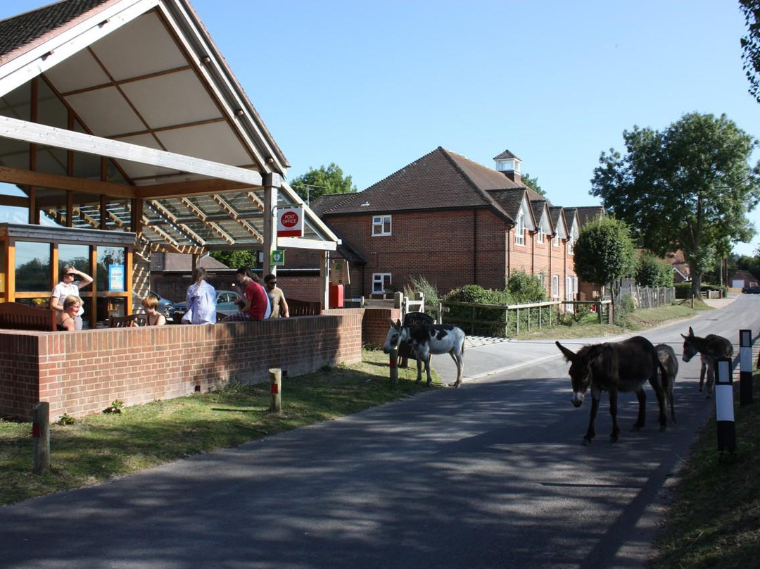 Woodgreen Community Shop景点图片